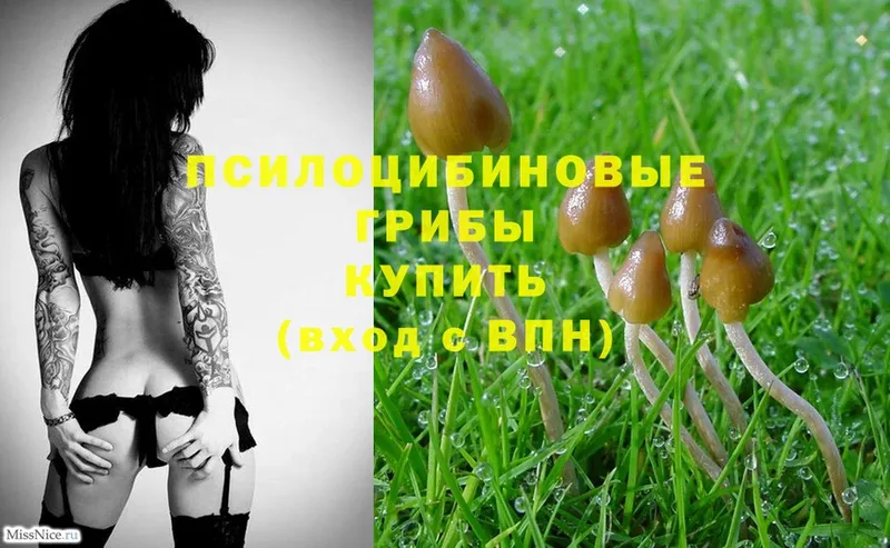 Галлюциногенные грибы MAGIC MUSHROOMS  это официальный сайт  Алапаевск 